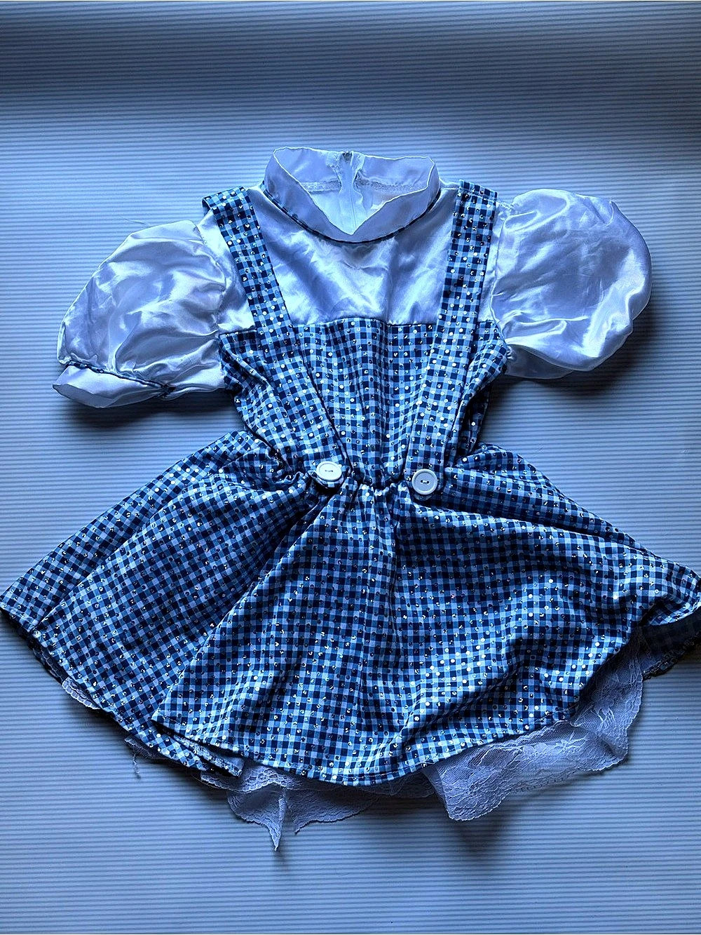 Rubies Costumes Dorothy costume dress Blue Checkered Girls Small Like